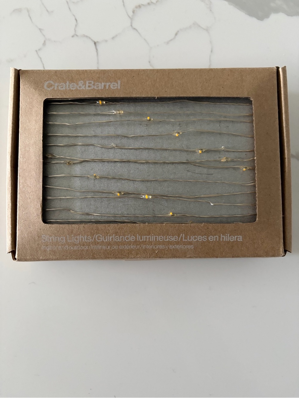 Crate&Barrel Gold Wire 30’ LED String Lights